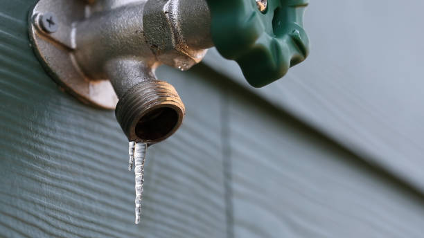 Best Same-Day Plumbing Service  in Lake Hamilton, FL