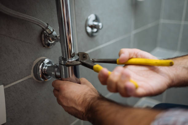 Best Shower Repair Services  in Lake Hamilton, FL